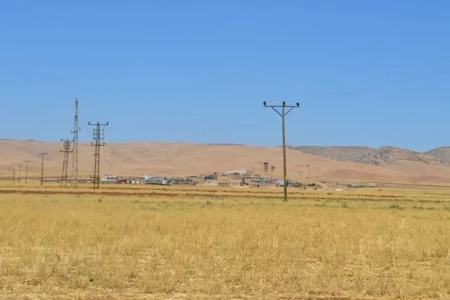 Terör örgütü çiftçileri hedef aldı Terör örgütü çiftçileri hedef aldı