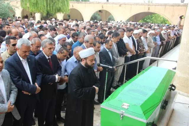 Toru'yu yüzlerce kişi son yolculuğuna uğurladı Toru'yu yüzlerce kişi son yolculuğuna uğurladı
