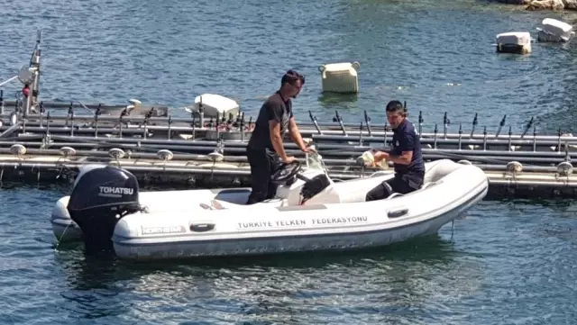 Zabıta'dan gölde ördek kurtarma operasyonu Zabıta'dan gölde ördek kurtarma operasyonu