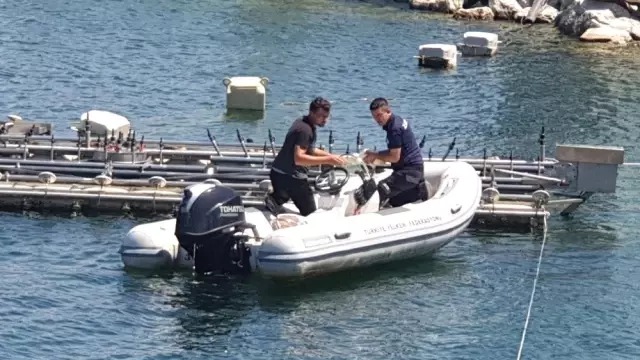 Zabıta'dan gölde ördek kurtarma operasyonu Zabıta'dan gölde ördek kurtarma operasyonu