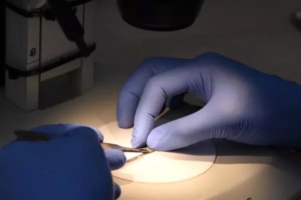 Bronz sikkeler Parion'un tarihine ışık tutuyor