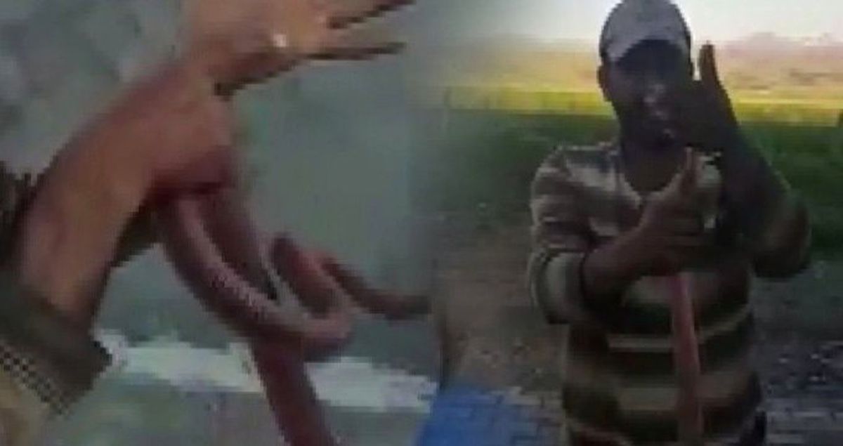 Elazığ'da inanılmaz olay! Yakaladığı yılana elini ısırttı