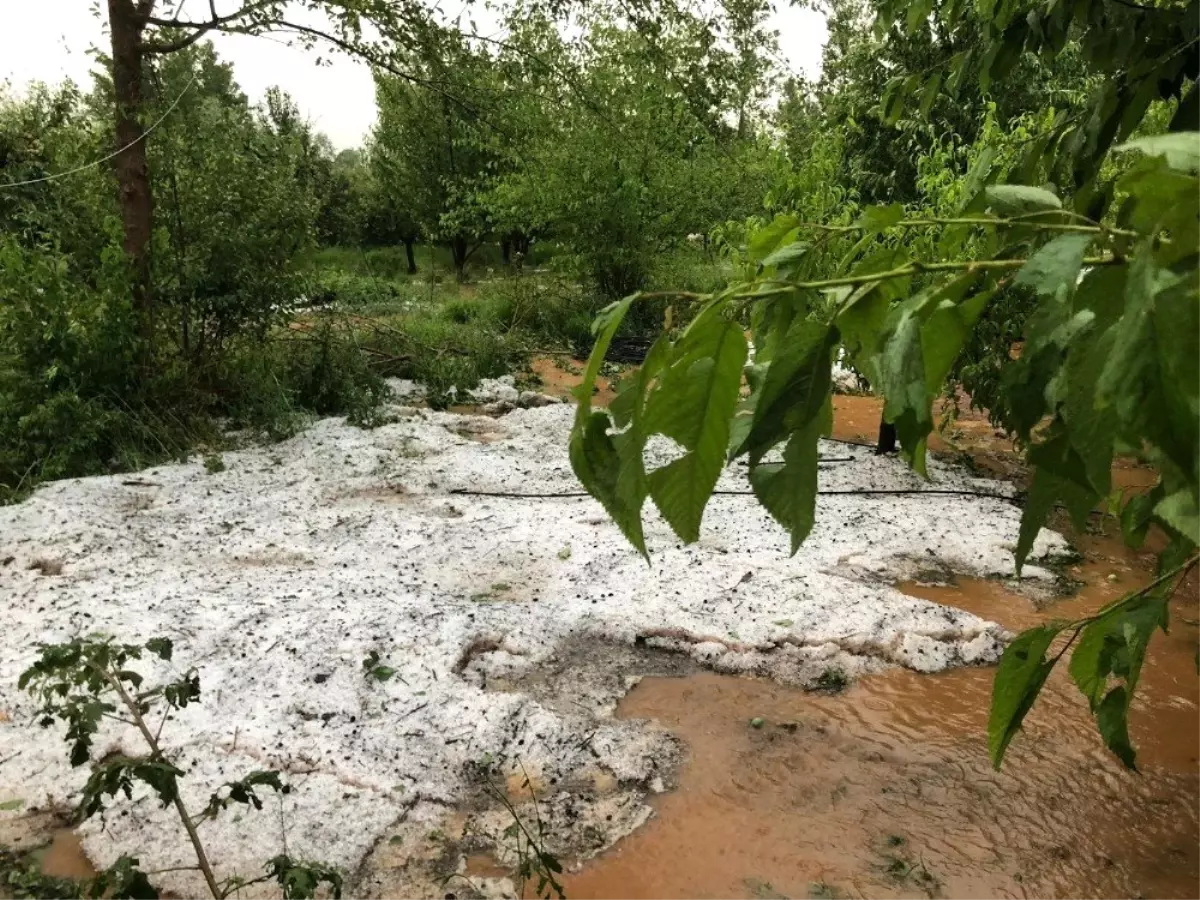 Tokat'ta dolu yağışı etkili oldu