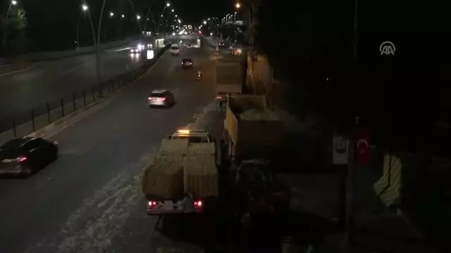 Yola dökülen saman balyaları trafiği aksattı - ŞANLIURFA Yola dökülen saman balyaları trafiği aksattı - ŞANLIURFA