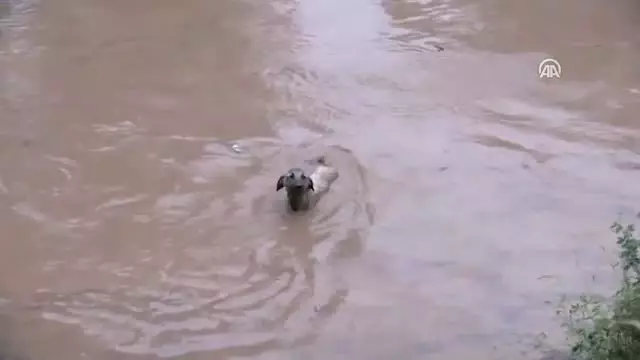 Yozgat'ta sağanak ve sel Yozgat'ta sağanak ve sel