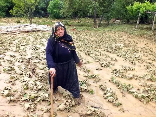 Yozgat'ta sel sonrası hasar tespitine başlandı Yozgat'ta sel sonrası hasar tespitine başlandı