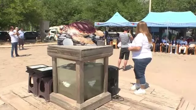 2. Caretta Caretta İlk Yuva etkinliği 2. Caretta Caretta İlk Yuva etkinliği