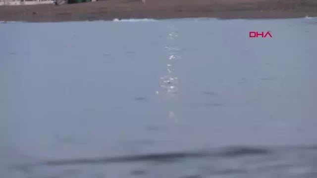 ANTALYA TARLA GİBİ SÜRÜLEN CARETTA CARETTA KUMSALINDA 50 YUVA YOK OLDU
