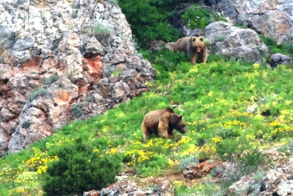 Belgesel değil, Karadeniz dağları