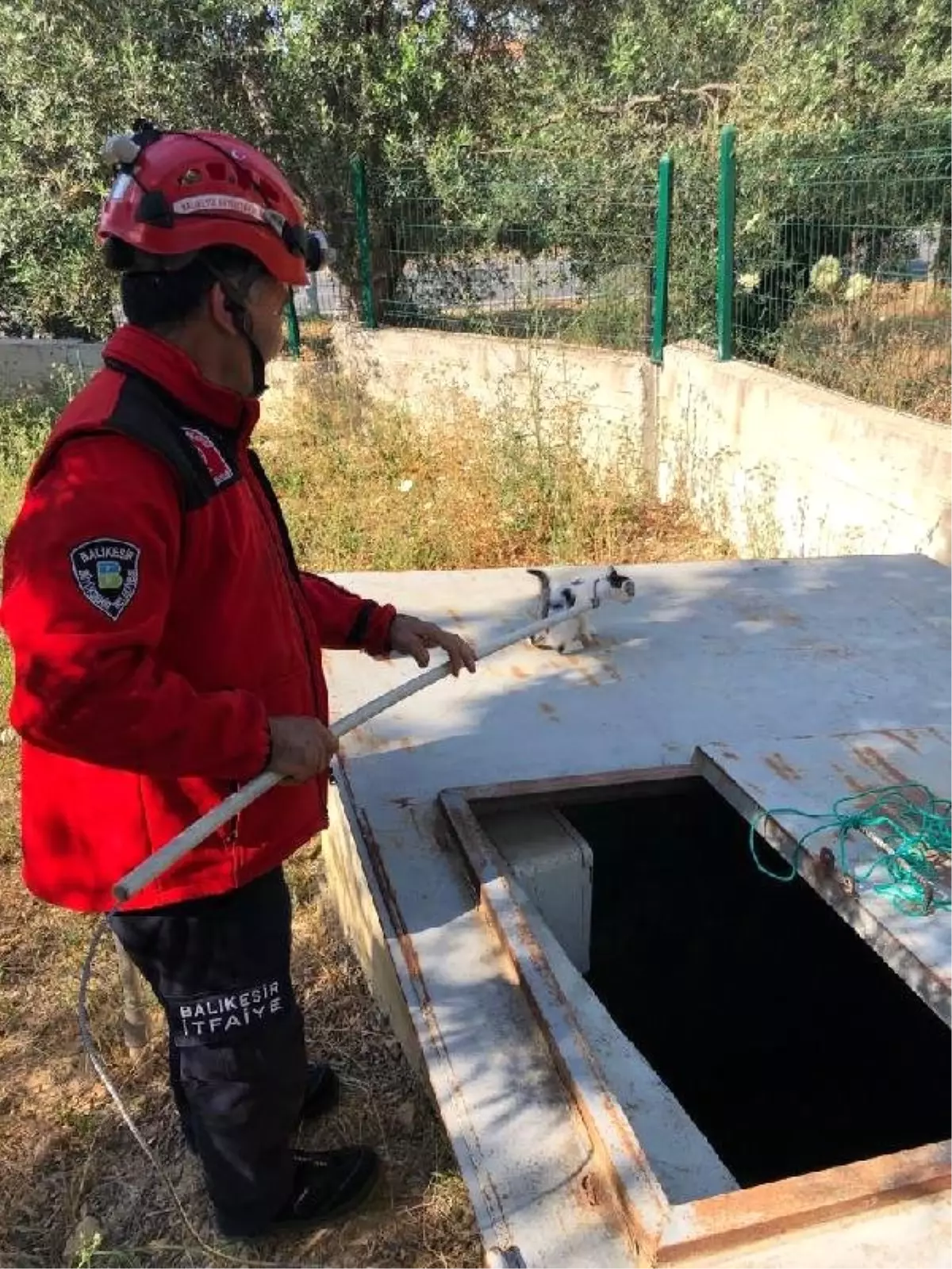 Burhaniye'de su deposuna düşen yavru kediyi itfaiye kurtardı