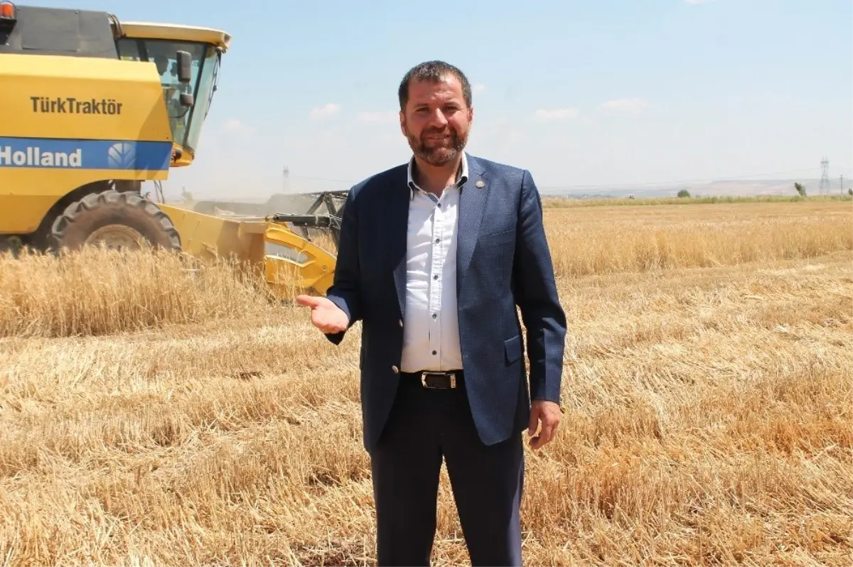 Diyarbakır'da yılın ilk buğday hasadı yapıldı