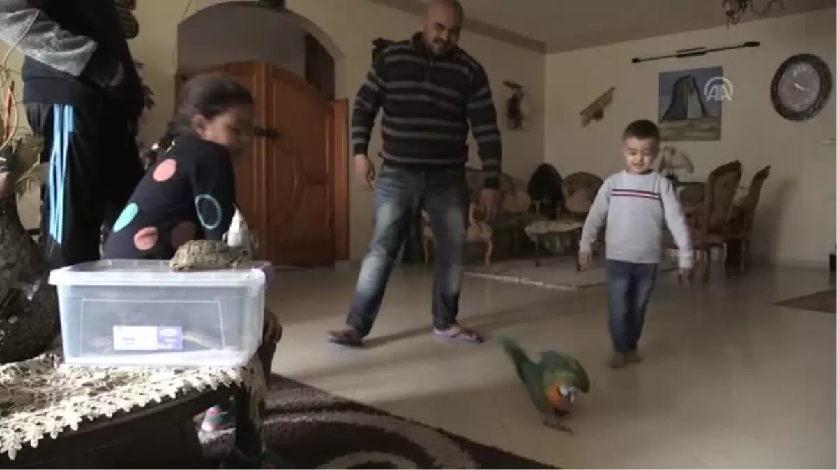 Filistinli hayvansever evini hayvanat bahçesine dönüştürdü (1)