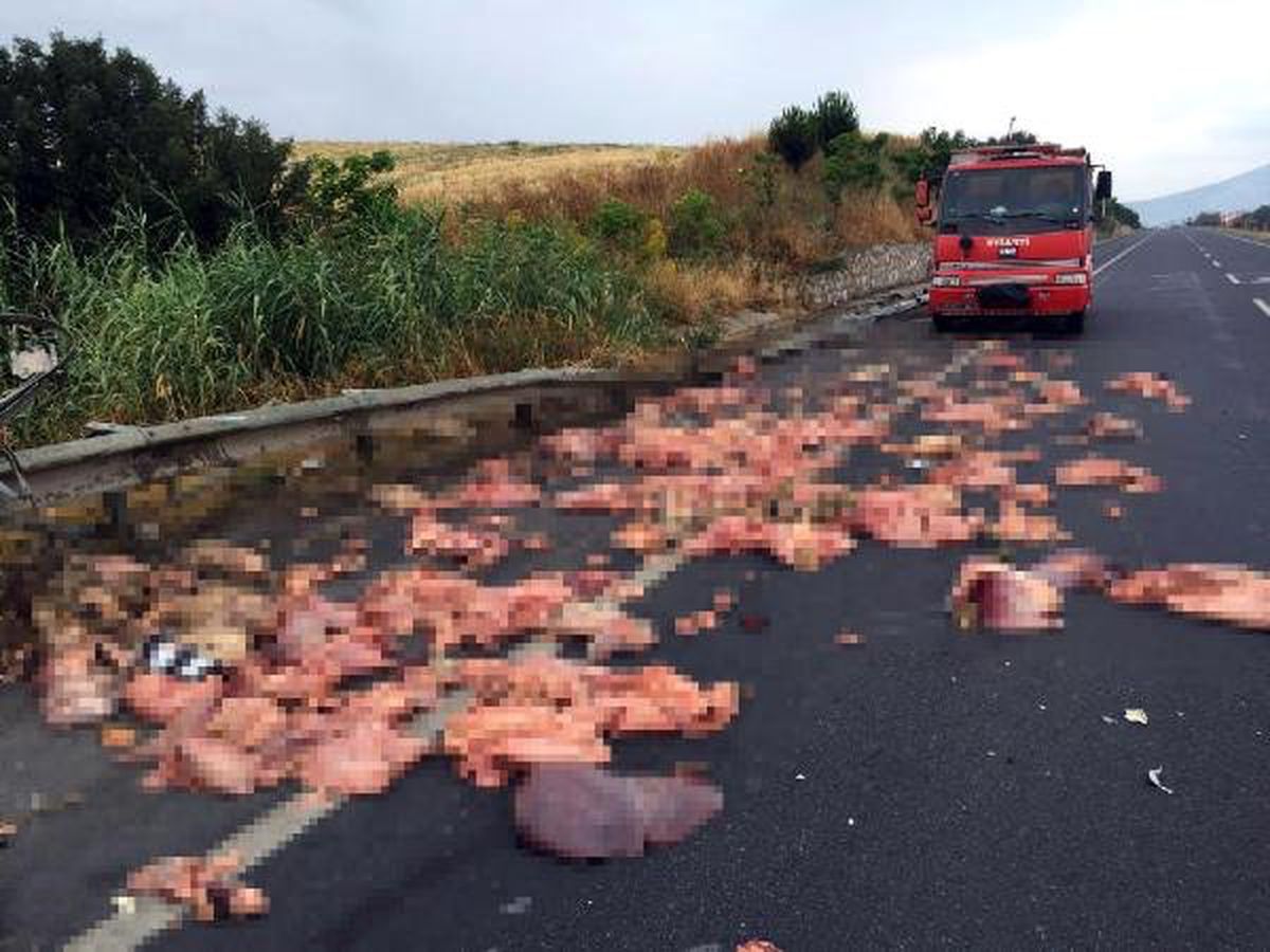 Kamyonet devrildi, kasasındaki sakatatlar yola saçıldı