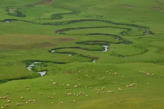 Ordu'nun yaylaları yeşillendi, turistlerin ilgisi arttı