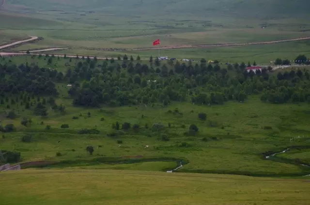 Ordu'nun yaylaları yeşillendi, turistlerin ilgisi arttı
