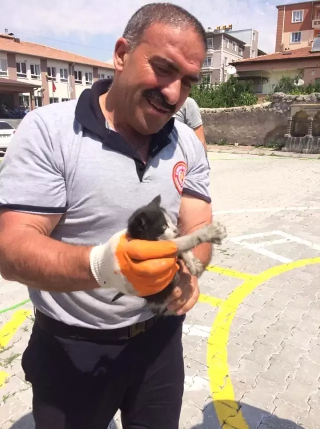 Aracın motor kısmına giren kedi itfaiye ekipleri tarafından çıkarıldı
