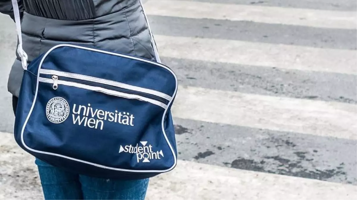 Araştırma: Avrupa'da çocuklarını üniversiteye gönderen en fakir ve eğitimsiz aileler Türkler