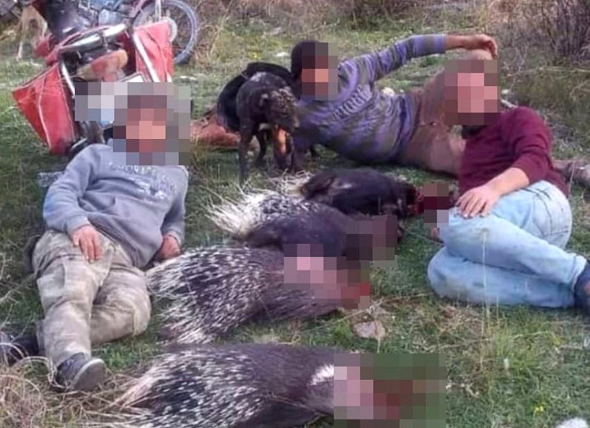 Avladıkları kirpilerle verdikleri poz pahalıya patladı!