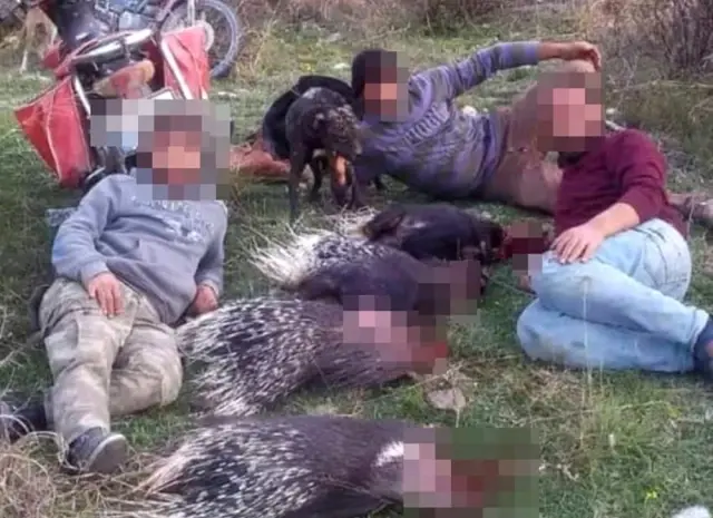 Avladıkları kirpilerle verdikleri poz pahalıya patladı!