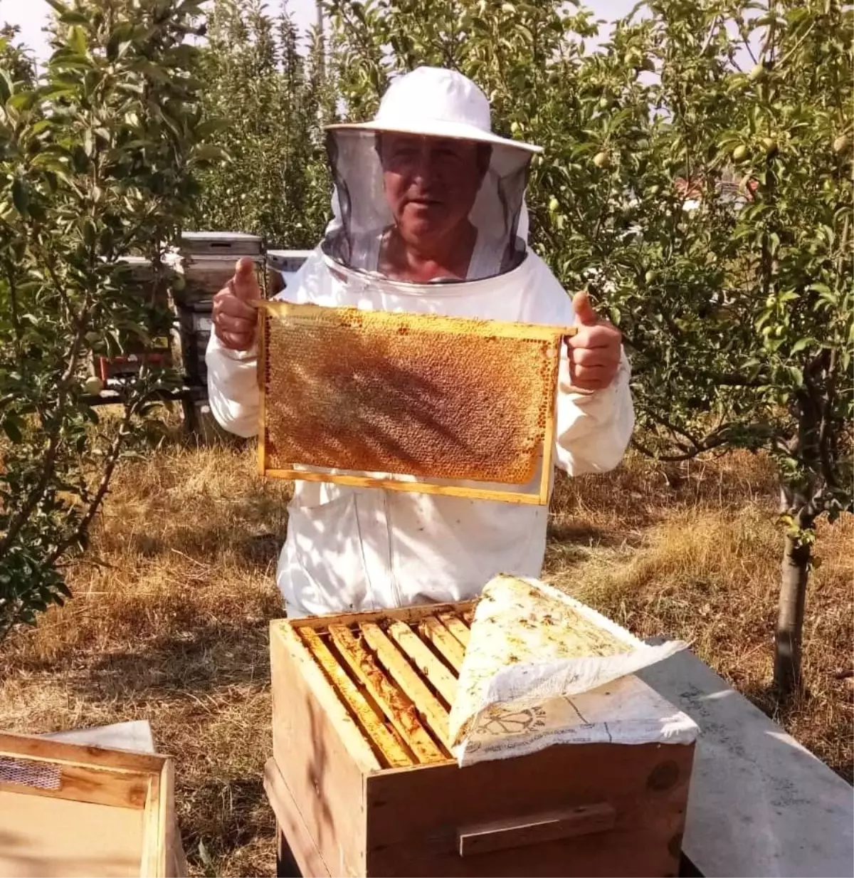 Hisarcıklı arıcıların yüksek bal üretimi beklentisi