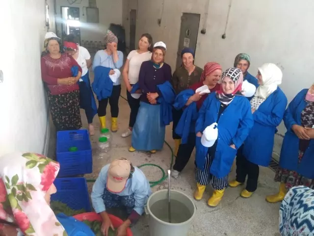 'Kadın Çiftçiler Tarımsal Yeniliklerle Buluşuyor' programı uygulamaya geçirildi