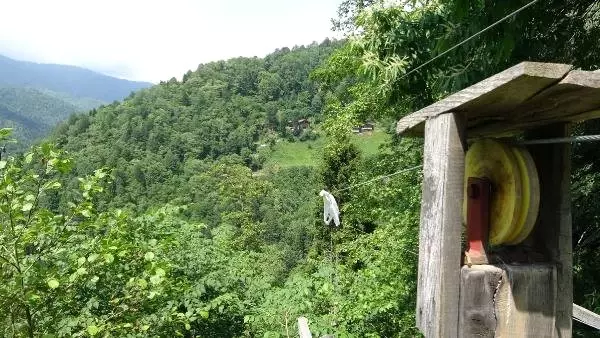Rize'de ağaç eve 500 metrelik teleferikle ulaşılıyor