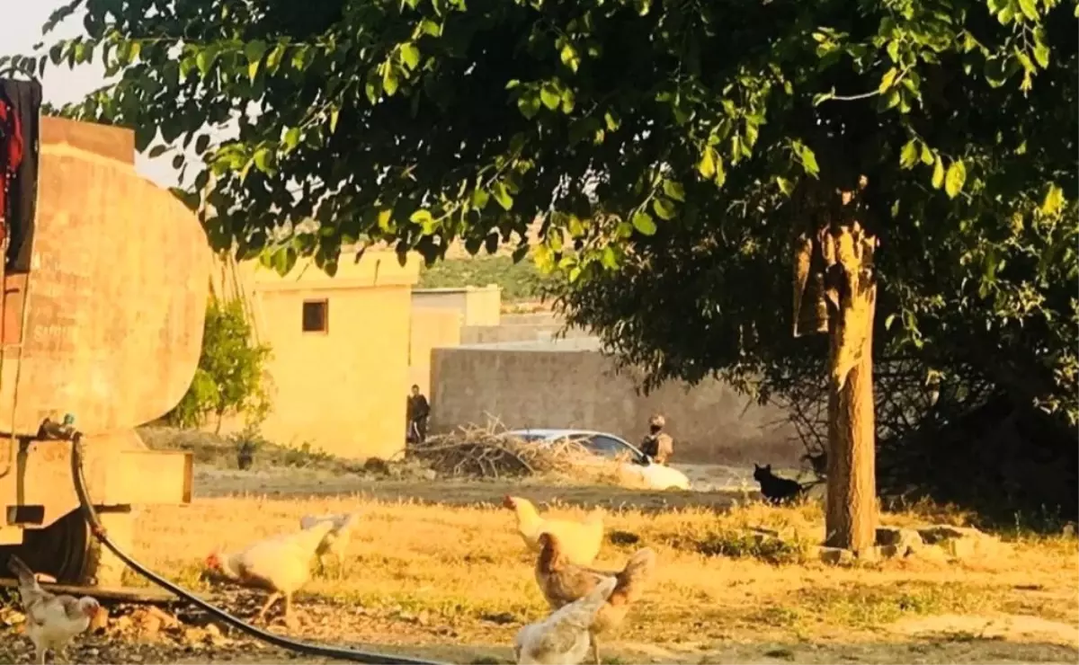 Şanlıurfa'da terör operasyonu: 9 gözaltı