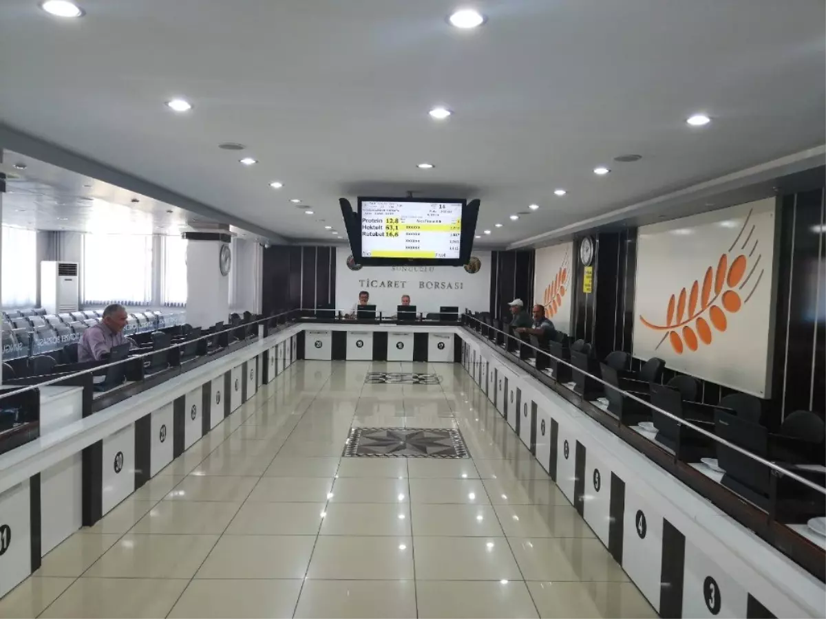 Sungurlu'da ilk buğday borsa'ya geldi