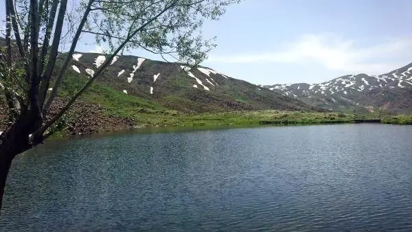 2 bin 700 metre rakımda ışkın topluyorlar