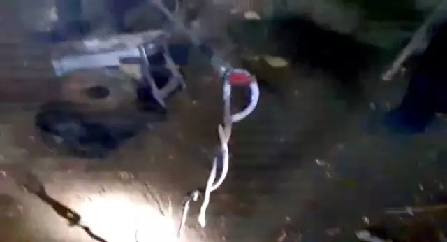 Adıyaman'da yılan avı