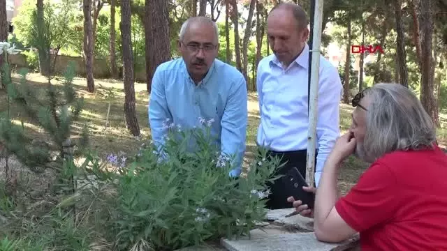 Balıkesir mavi çiçeğini arıyor Balıkesir mavi çiçeğini arıyor