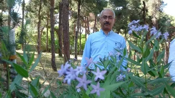 Balıkesir mavi çiçeğini arıyor Balıkesir mavi çiçeğini arıyor