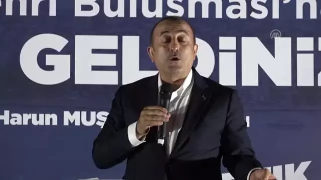 Çavuşoğlu: