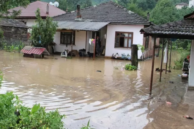 Düzce sele teslim oldu