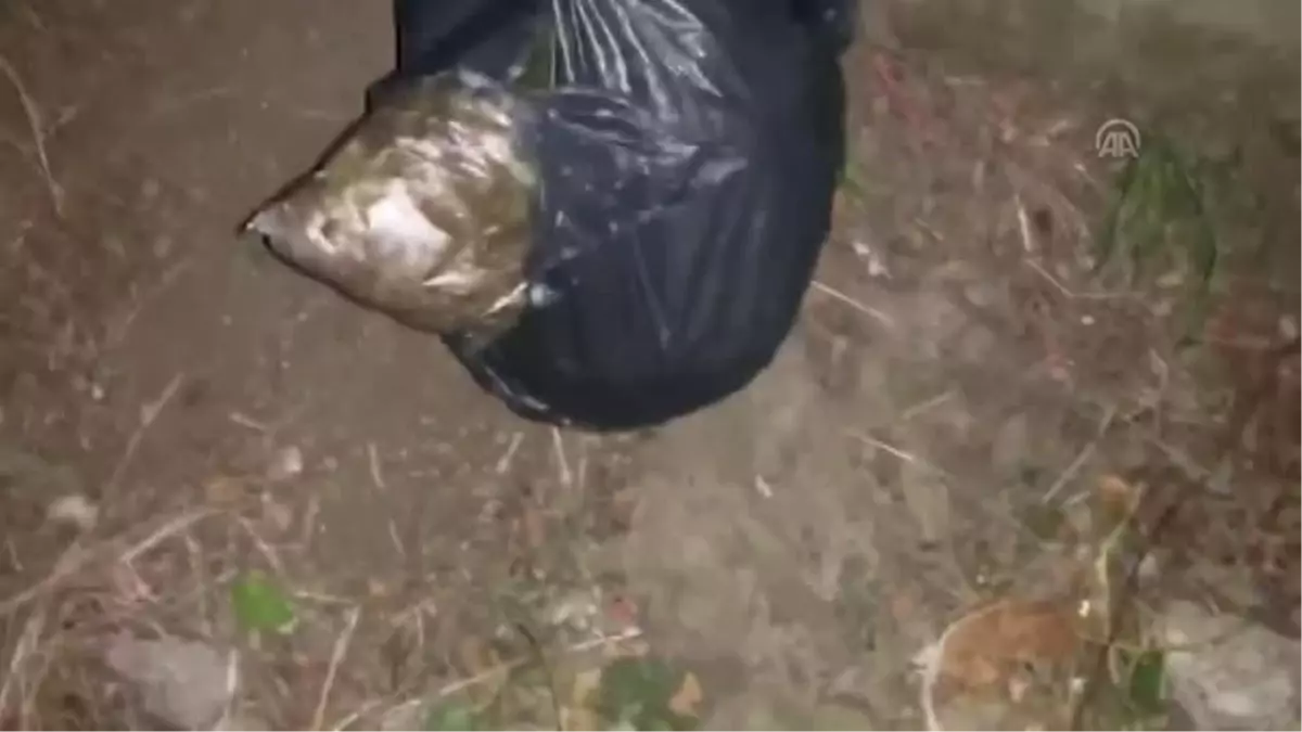 İstanbul'da narkotik operasyonu