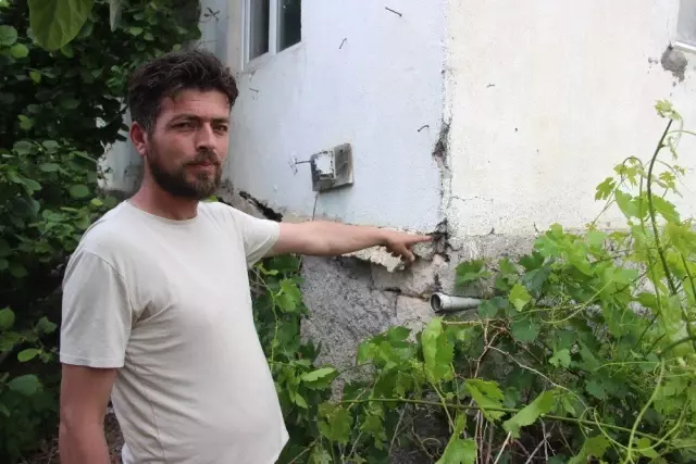 Böceklerin istilasına uğrayan mahalleli isyan etti: İnsanlar uyuyamıyor, yemek yiyemiyor, evlerini terk ettiler