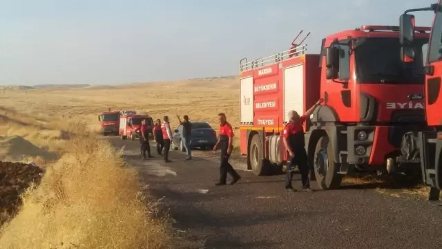 Mardin'de çıkan yangında 600 dönümlük alan kül oldu