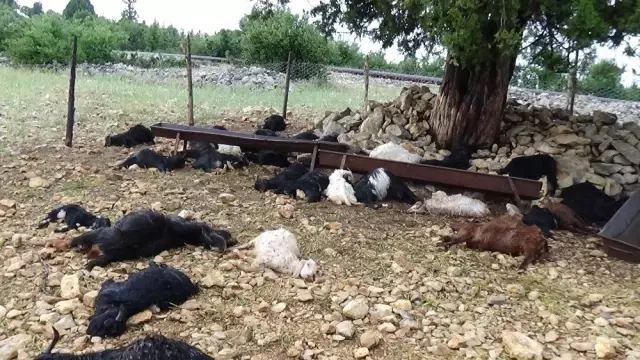 Mersin'de sel ve yıldırım hayatı olumsuz etkiledi