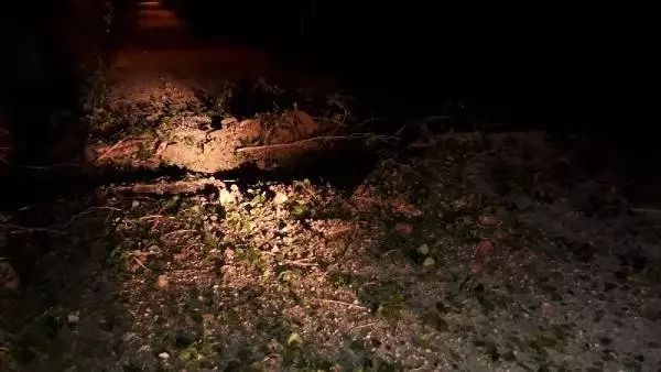 Van'da minibüs geçişi sırasında patlama: 4 korucu yaralı