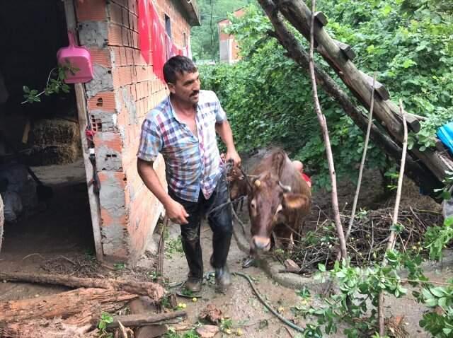Günün ilk ışıklarıyla Araklı'daki bilanço ortaya çıktı