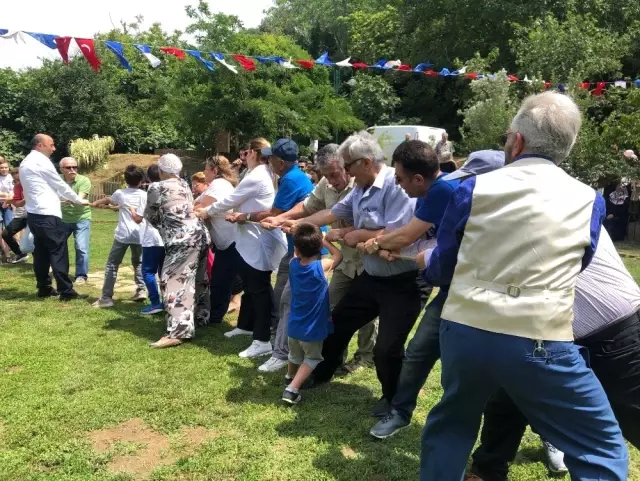İstanbul'da nineler ve dedelerle torunları bostandan sebzeleri toplayıp menemen yaptı