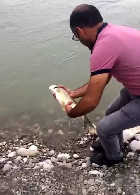 Kaçak avcılara geçit yok Kaçak avcılara geçit yok