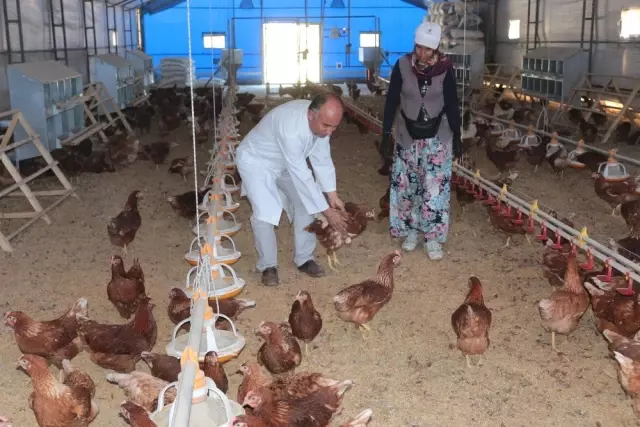 (Özel) Akademik yumurtalar satışa çıkıyor (Özel) Akademik yumurtalar satışa çıkıyor