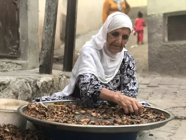 Siirt'te kadınlar ceviz kırarak aile bütçelerine katkı sağlıyor