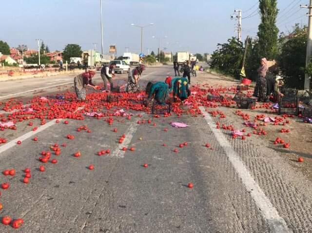 TIR kaza yaptı, çevredekiler yola saçılan domatesleri toplayıp evlerine götürdü