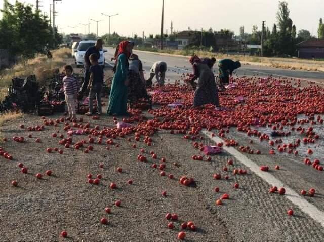 TIR kaza yaptı, çevredekiler yola saçılan domatesleri toplayıp evlerine götürdü