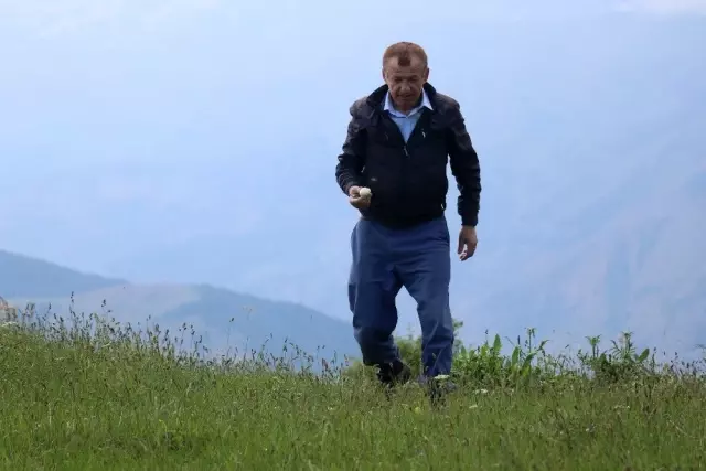 Gümüşhane'de 2 kilogram ağırlığında mantar bulundu