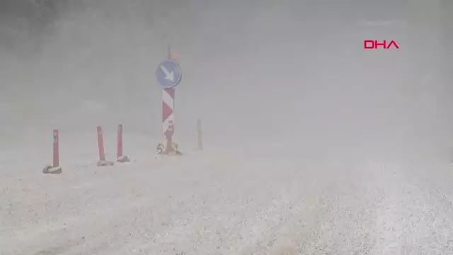 BALIKESİR Yol yapımı, zeytin üreticisinde verim kaybı endişesi yarattı
