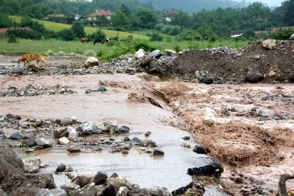Bolu'da selin yaraları sarılıyor