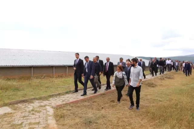 Hititlere başkentlik yapan Çorum'a Japonlar ve İtalyanlardan ilgi